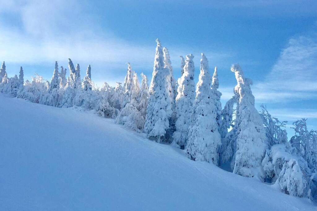 The Mountainside By Escapades Tremblant Mont-Tremblant Exterior foto